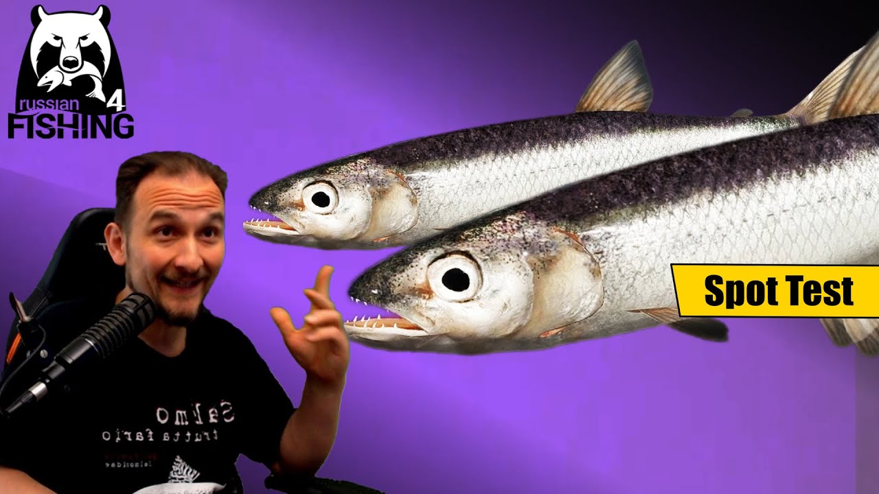 Russian Fishing 4 - Jama - Regenbogenstint Spot, Köder, Set Rute Rolle