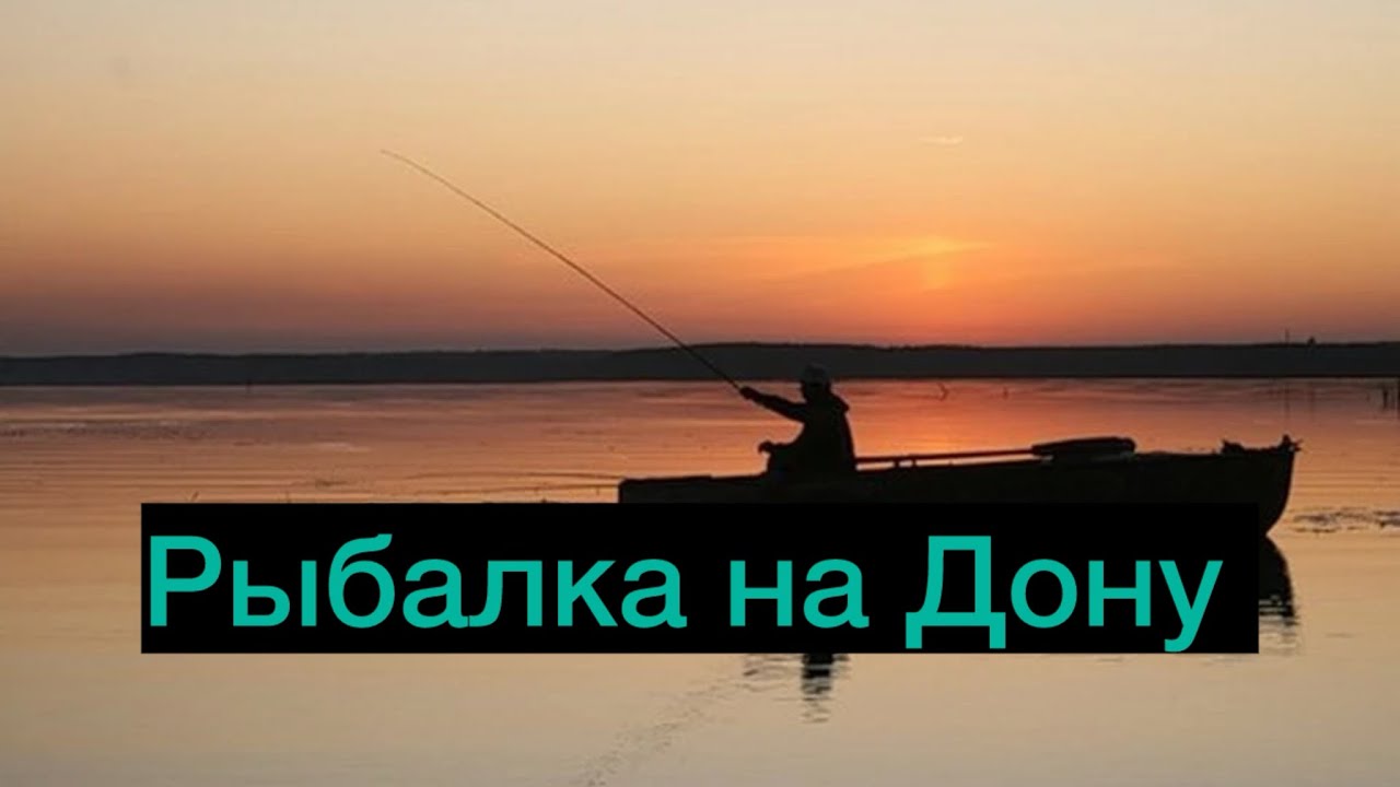Рыбалка на Дону 