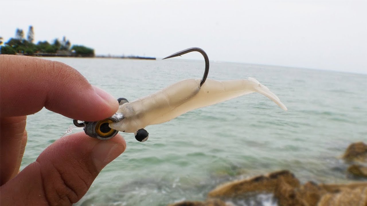 Monster 3X Shrimp