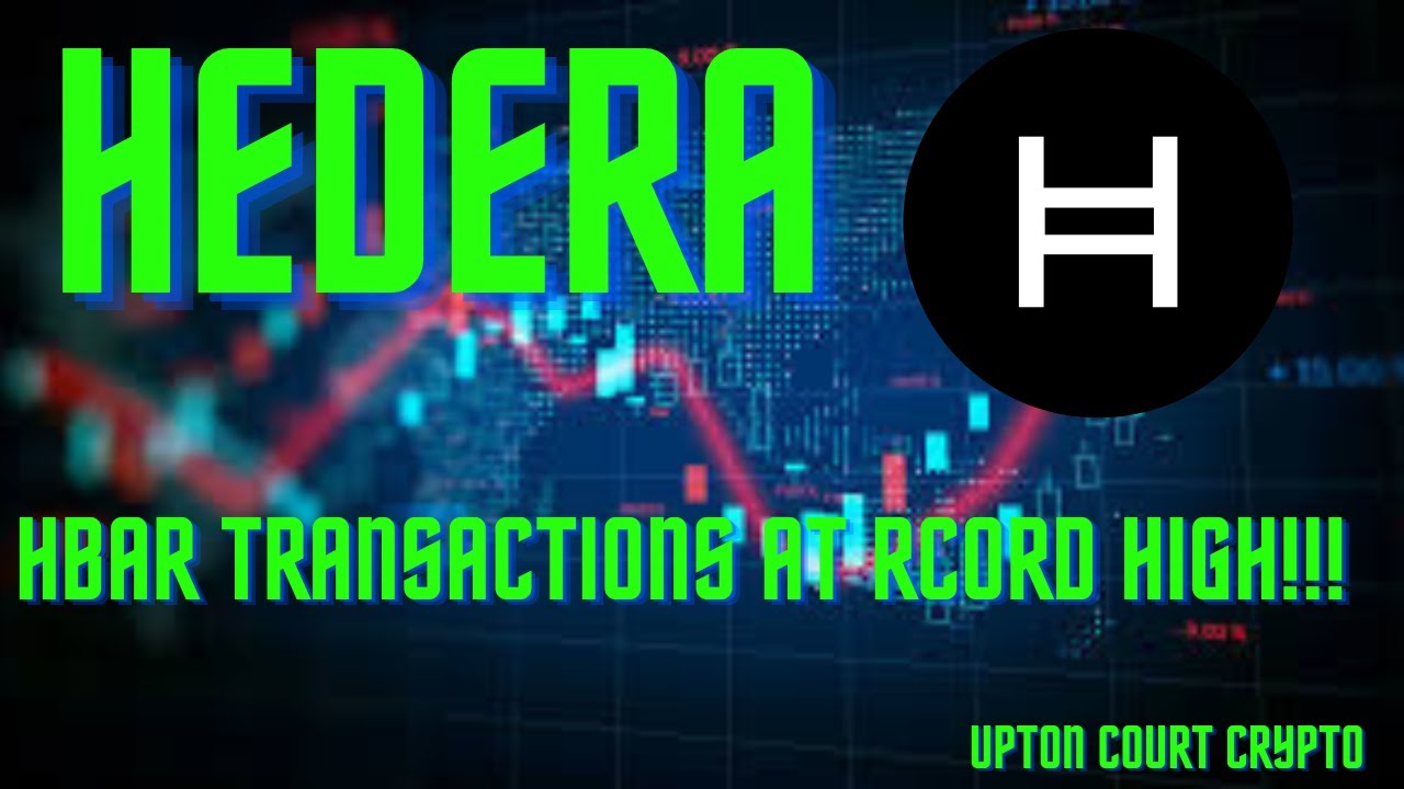 Hedera. HBAR Transactions Surge to Record High!!!!