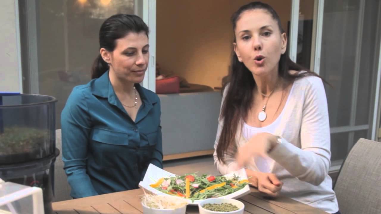 הנבטה ביתית  כל אחד יכול עם מיכל צפיר