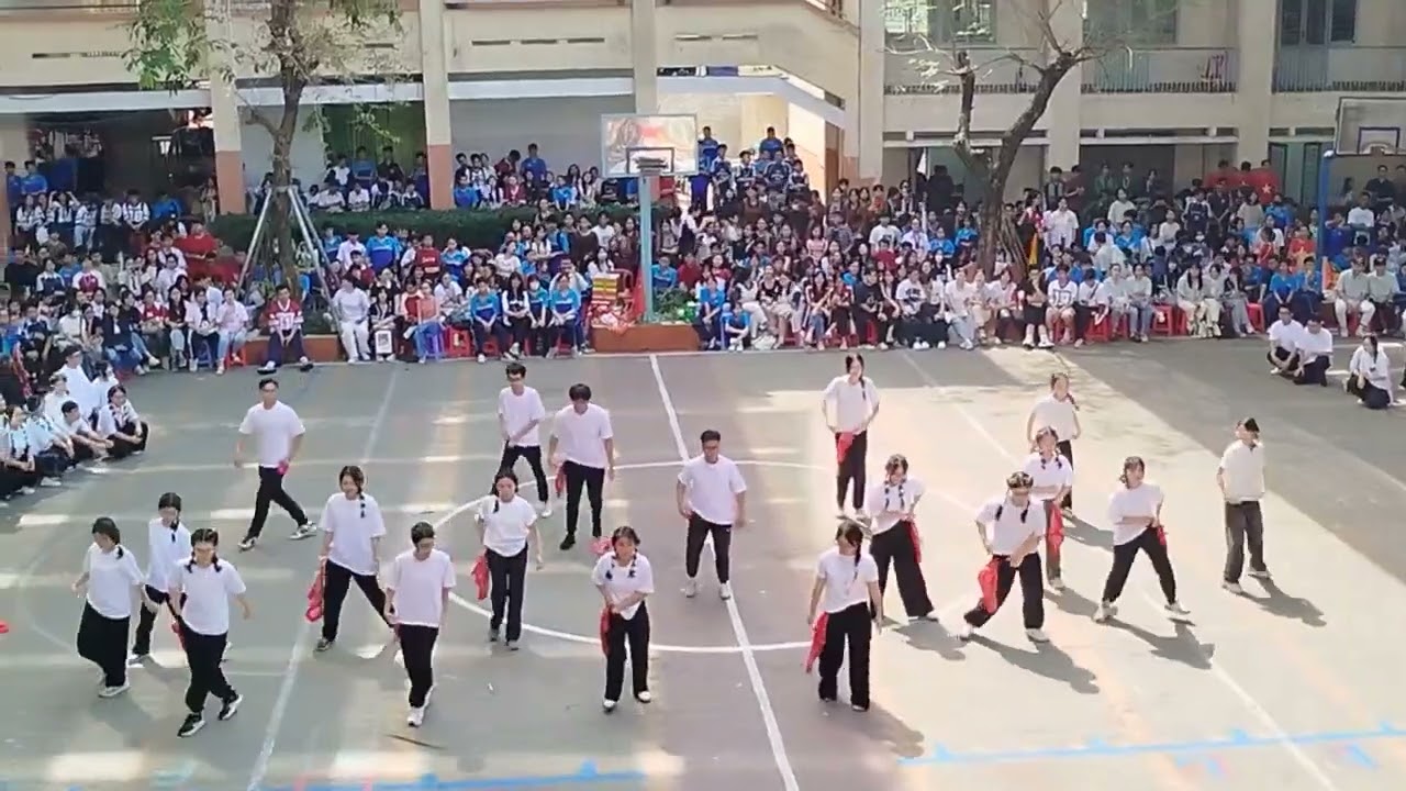 HỘI THI FLASHMOB TRƯỜNG THPT NGÔ QUYỀN NĂM HỌC 2024-2025 - LỚP 12D