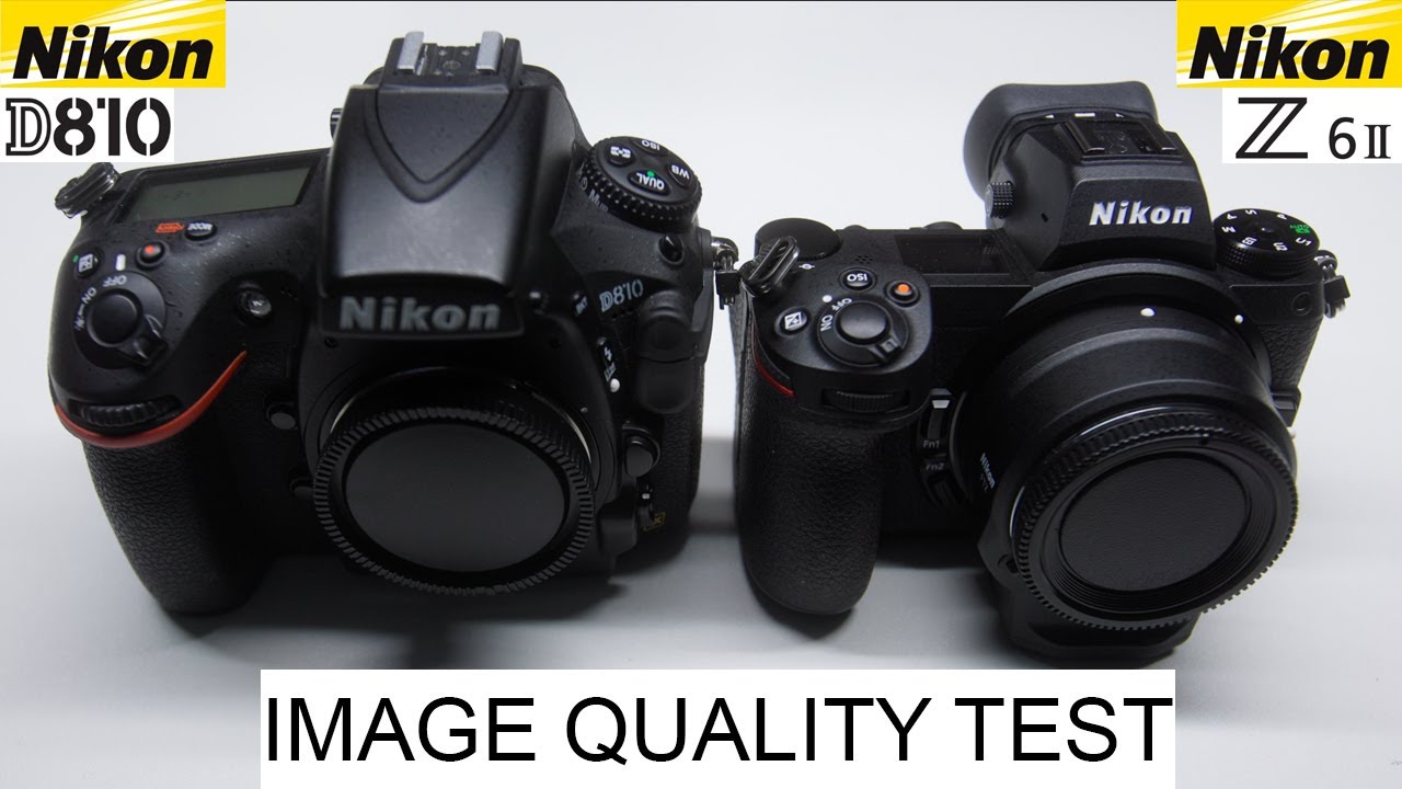 Nikon D810 против Nikon Z6II — зеркальные фотокамеры против беззеркальных — тест качества изображ...