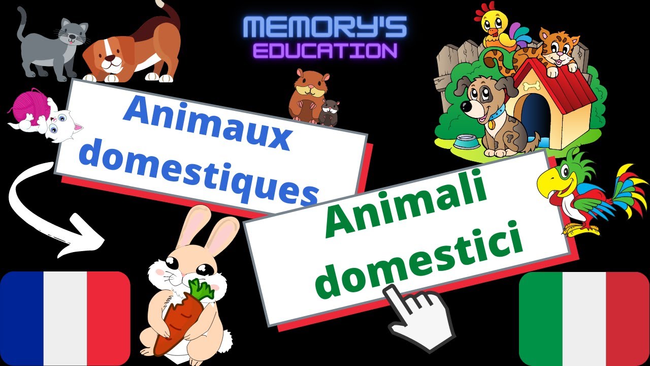 ANIMAUX DOMESTIQUES en Italien / ANIMALI DOMESTICI in Francese