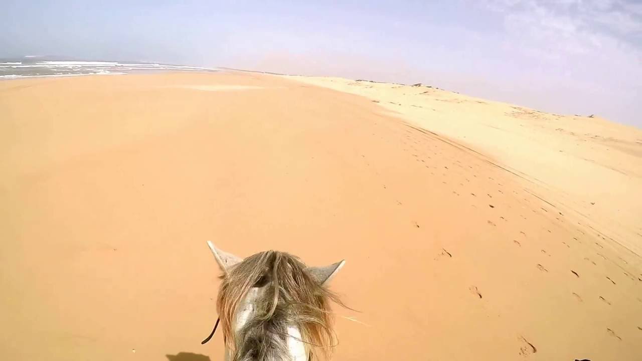 Liberté à cheval, Essaouira, Maroc - La Maison du Cheval