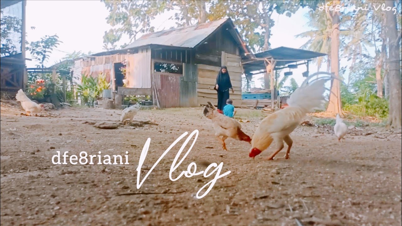 Mini Vlog | Siang Tumis Kangkung & tahu telur, Malam hari Nasi goreng | Menjaga rumah tetap bersih