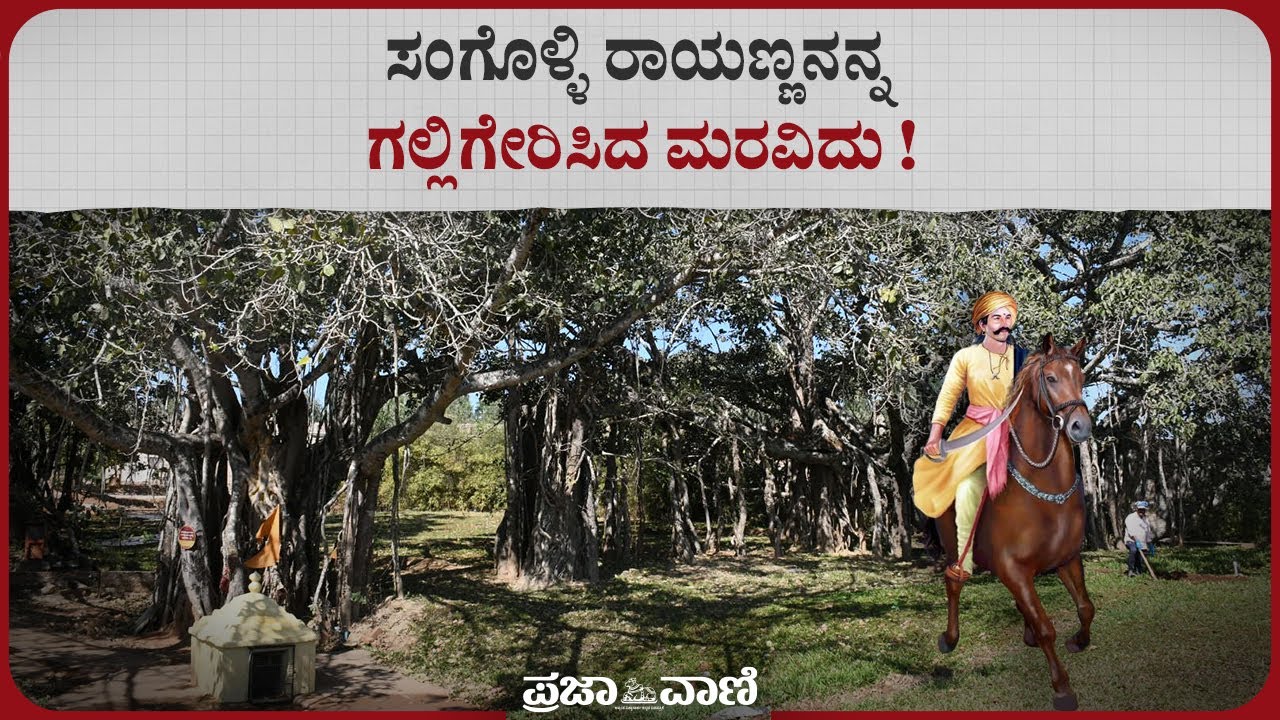 ಸಂಗೊಳ್ಳಿ ರಾಯಣ್ಣನನ್ನ ಗಲ್ಲಿಗೇರಿಸಿದ ಮರವಿದು ! | Sangolli Rayanna Hanging Place