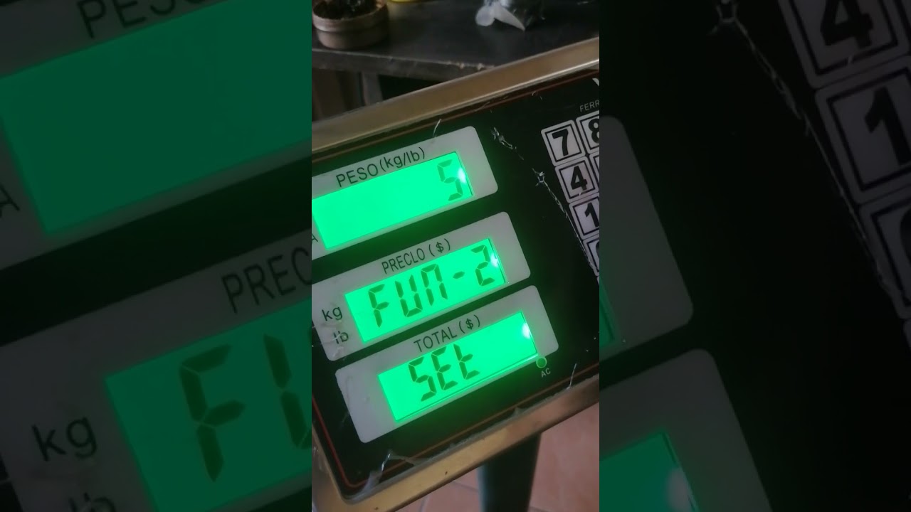 calibracion /ajuste de balanza de 300 kilos ferrawy