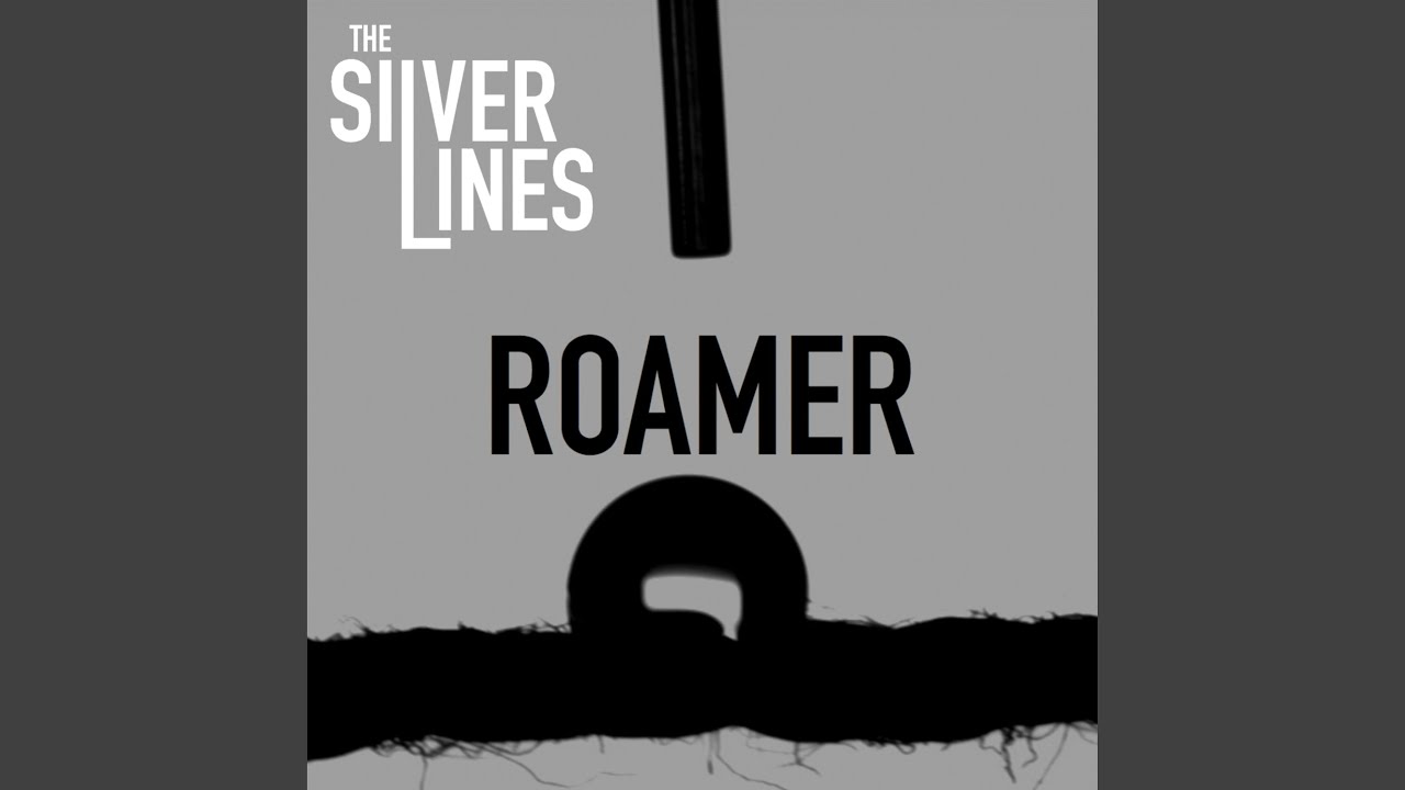 Roamer