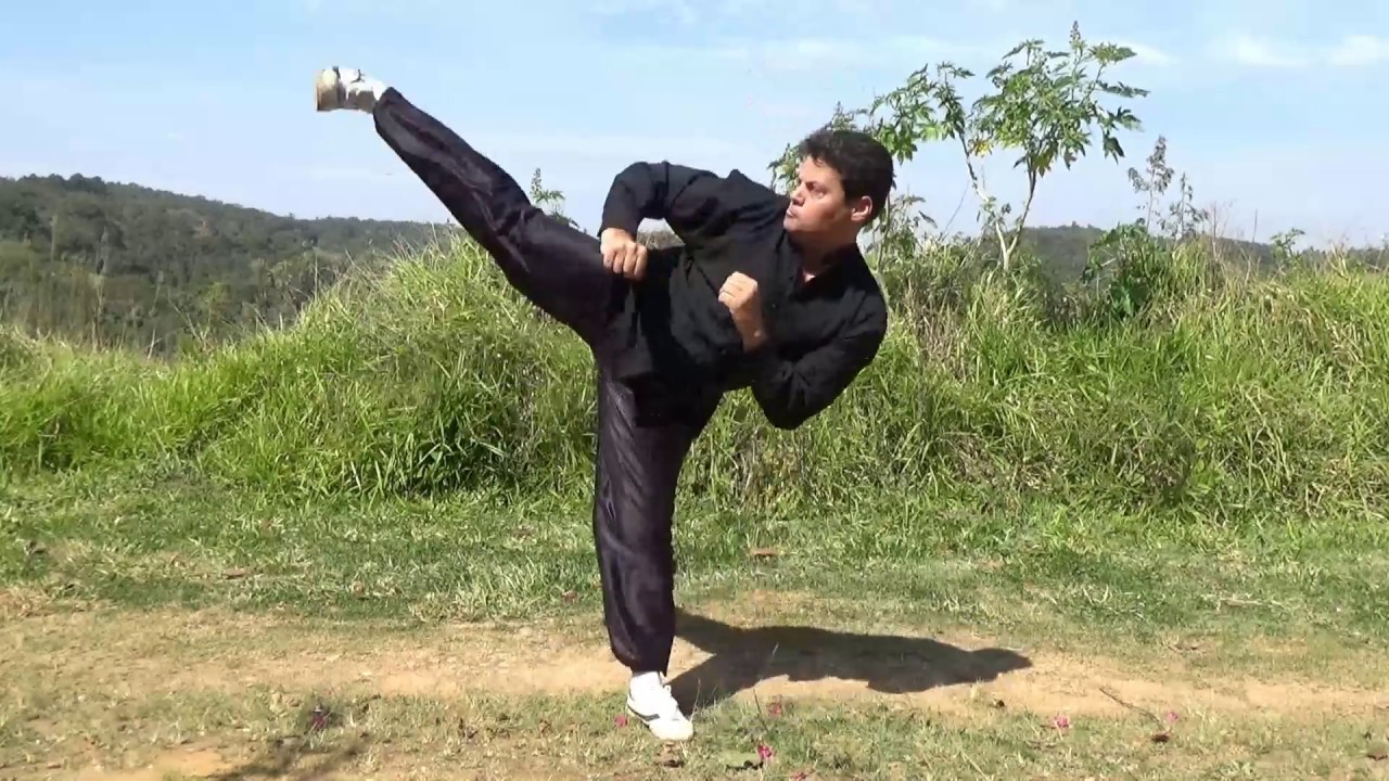 33 Chutes do Kung Fu Estilo Livre