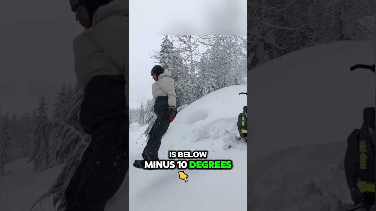 Jumping into Snow Can Be Fatal #interstingfacts #satisfying #intersting