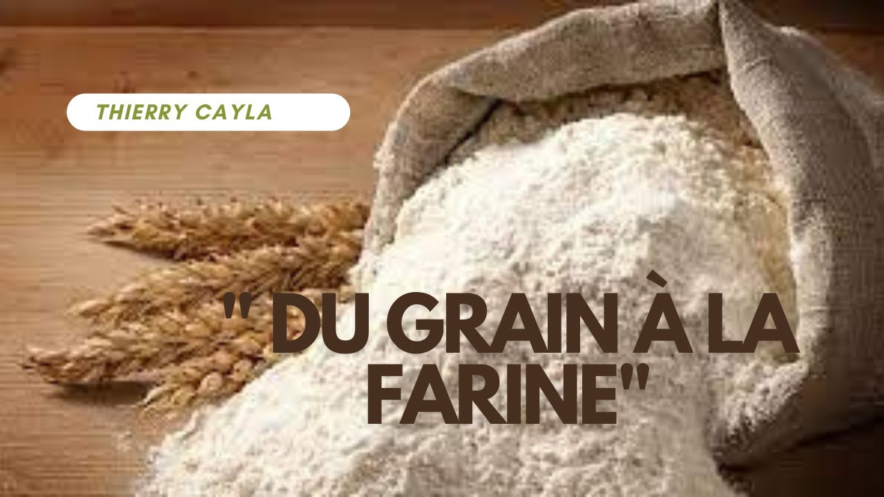 Rencontre avec Thierry Cayla : Paysan Bio 