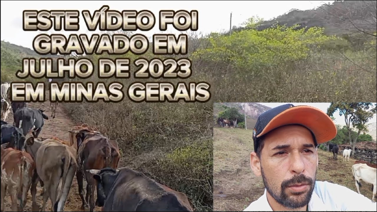 Realidade do Interior do Brasil no período seco