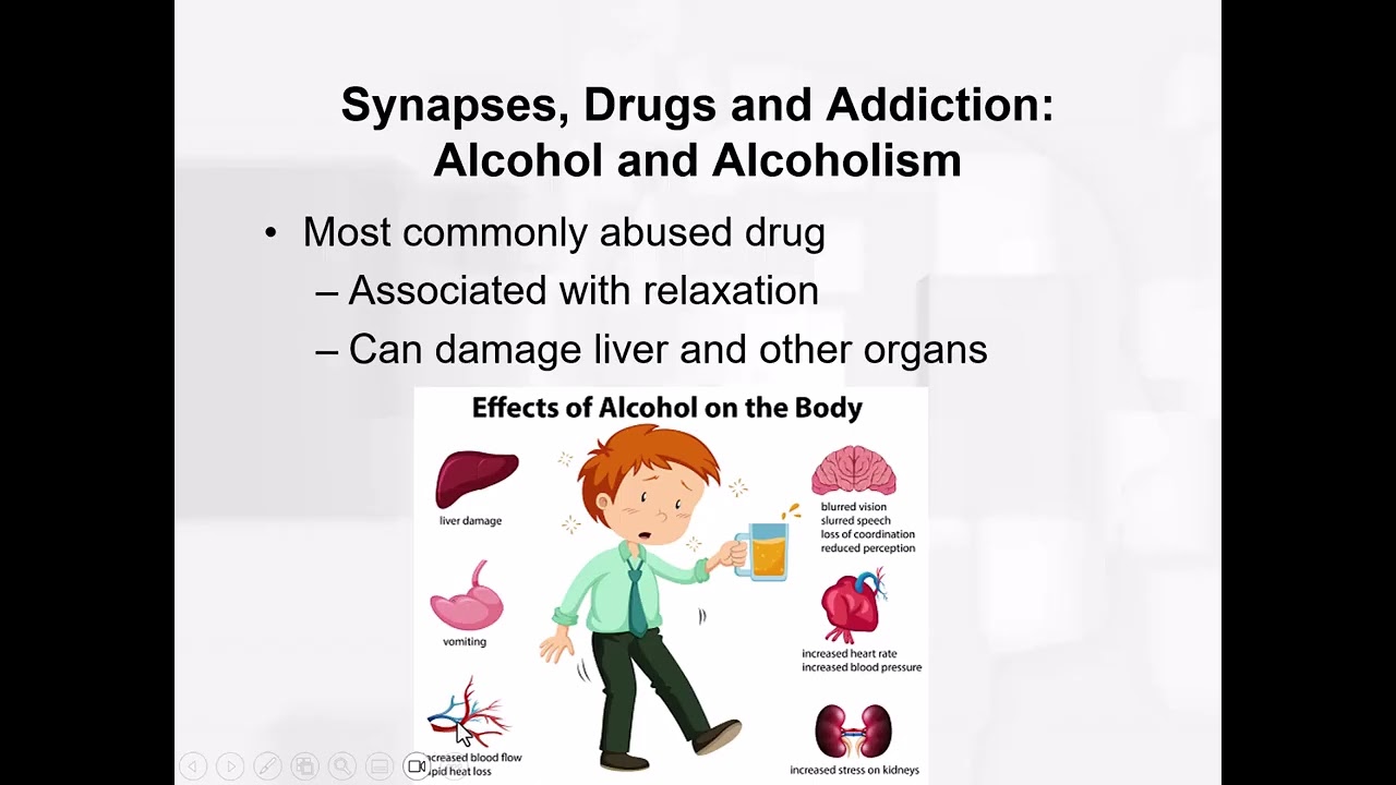 Chapter 12 - Depressents Cont.  - Alcohol