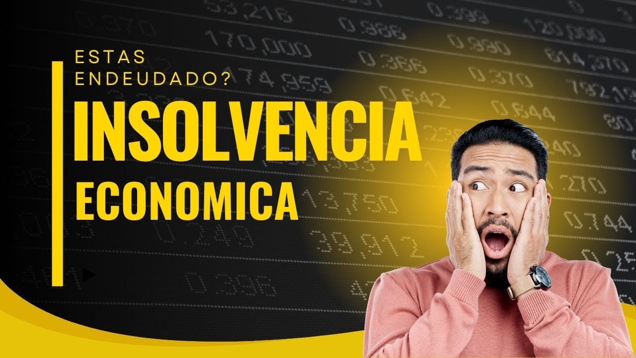 PROCESO DE INSOLVENCIA ECONOMICA DE PERSONA NATURAL NO COMERCIANTE - 2023