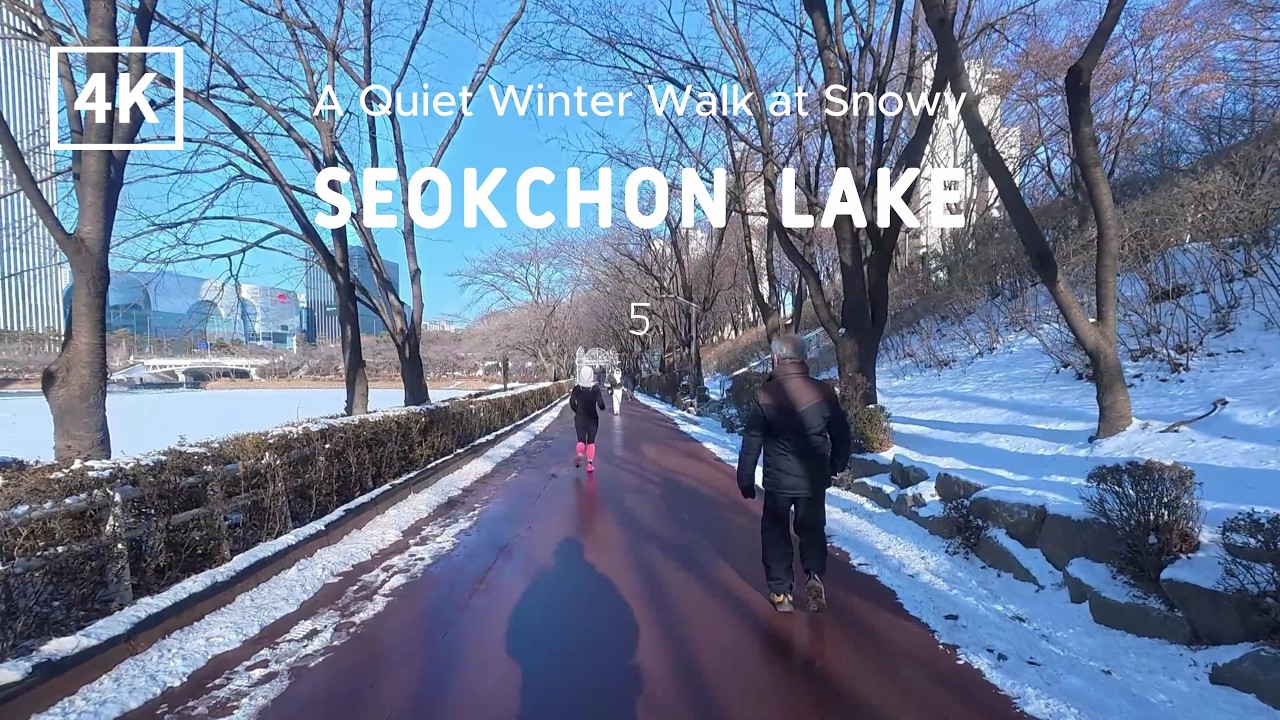 눈 덮인 석촌호수, 매직아일랜드를 바라보며 산책의 끝 | Ending the Walk at Snowy Seokchon Lake, With a View of Magic Island
