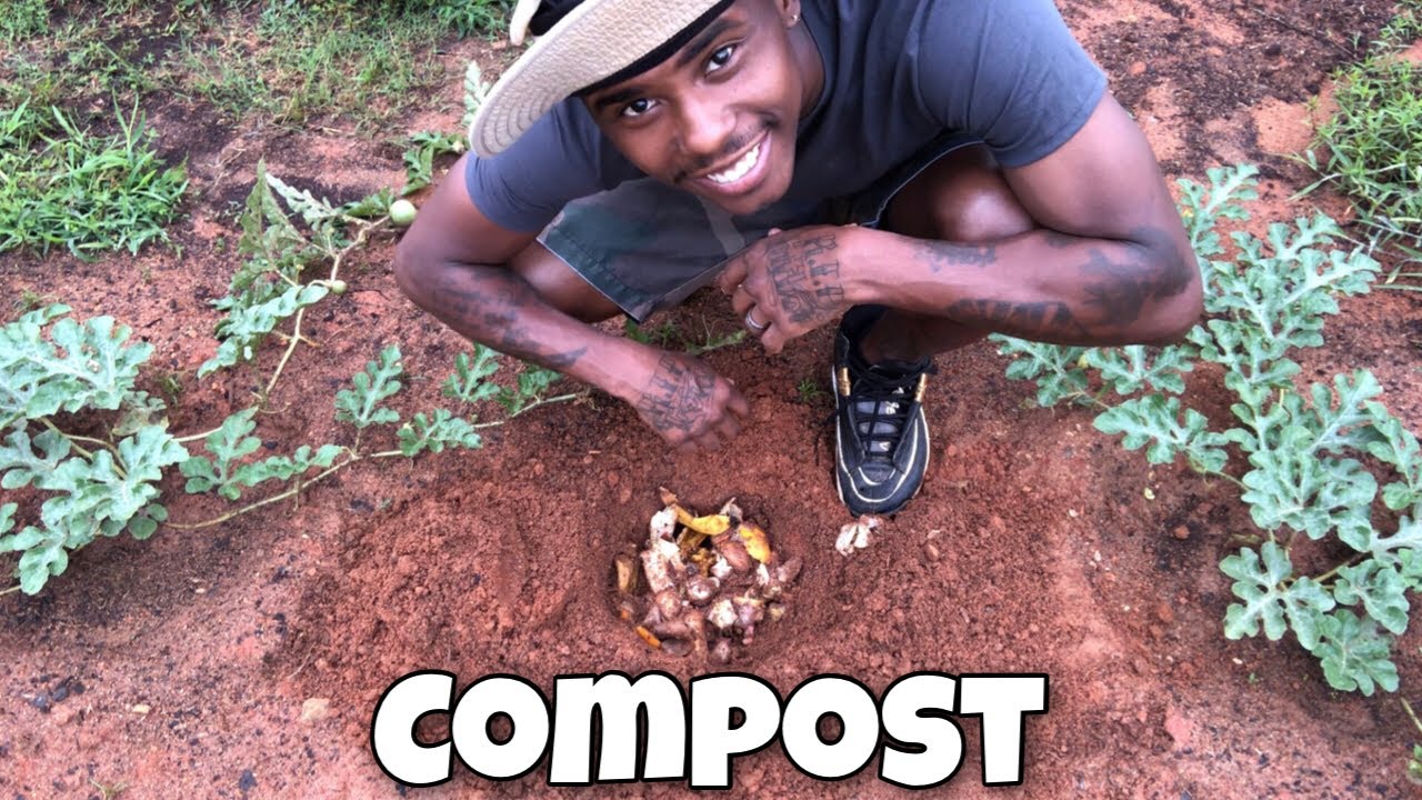 What happens when you Bury Kitchen Scraps in the Garden….