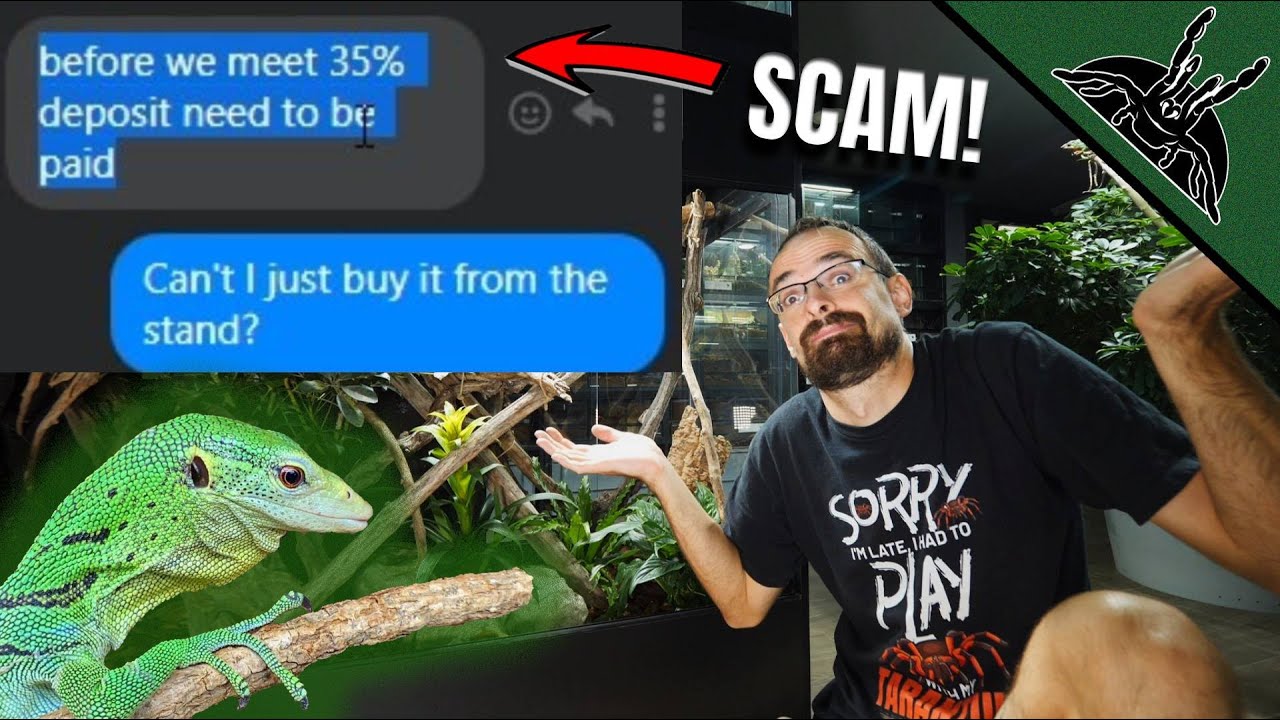 He TRIED to SCAM me - Green Tree Monitor Struggle