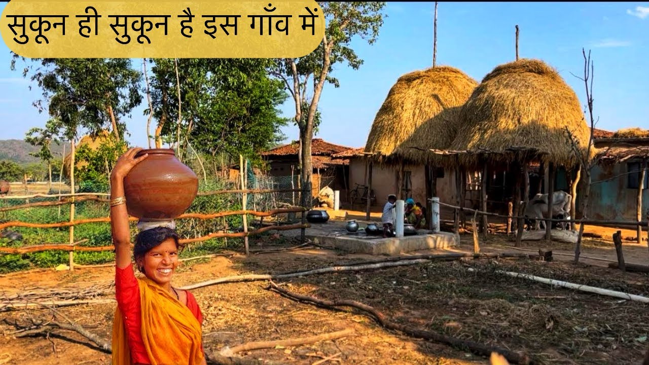 छत्तीसगढ़ मैनपाट का यह गाँव किसी जन्नत से कम नहीं🌳 | Manjhi Tribes village,Surguja Chhattisgarh