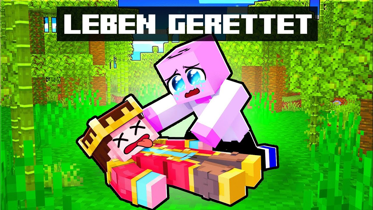 Ich RETTE ICRIMAX das LEBEN !! (Minecraft RISIKO)