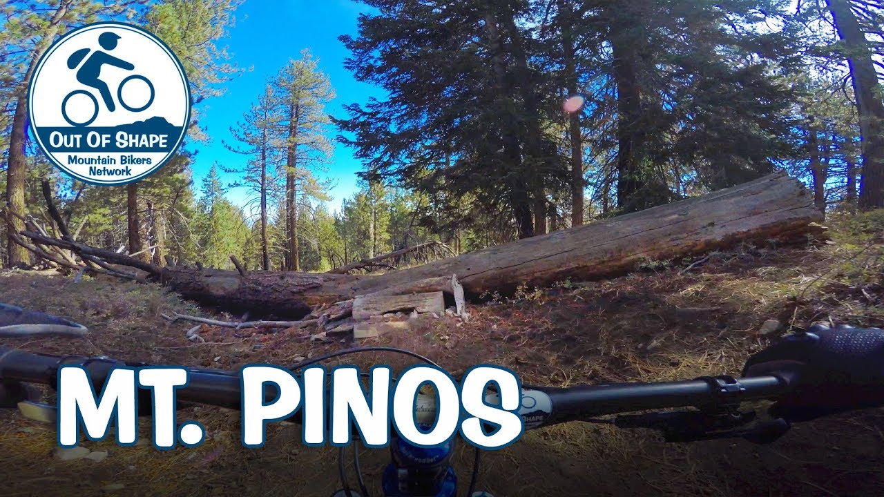 Pinos | Frazier Park, CA