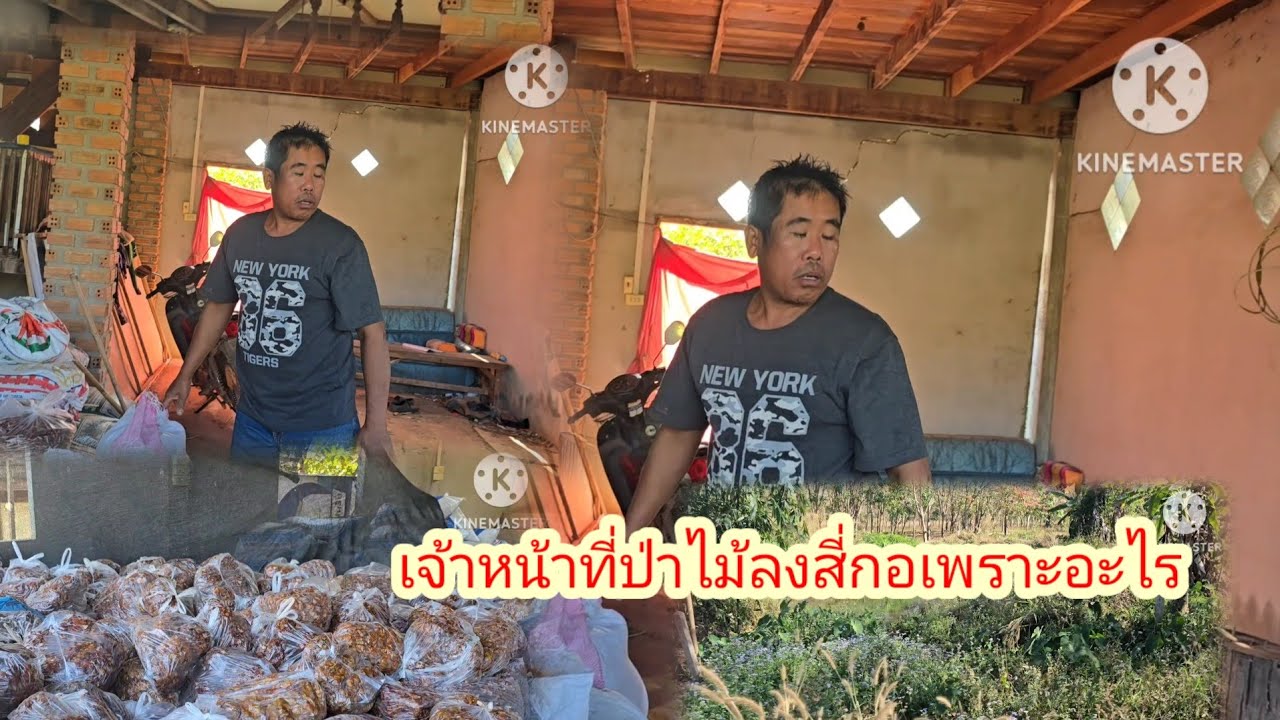 App บัตรเปิดใจ ที่สีกอเมื่อก่อนกับตอนนี้#ป้าแต๋นชาเเนล 