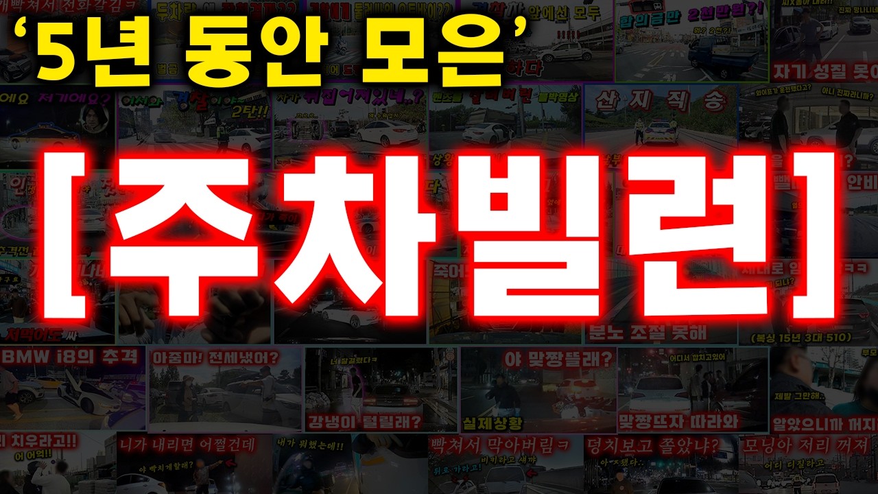 5년간 모은 레전드 주차빌런 엑기스 블랙박스 영상 모음집