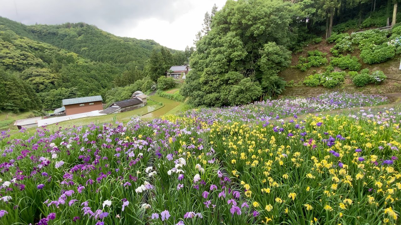 2021/06/04　稲積癒しの里山　その３　〜愛媛県大洲市〜
