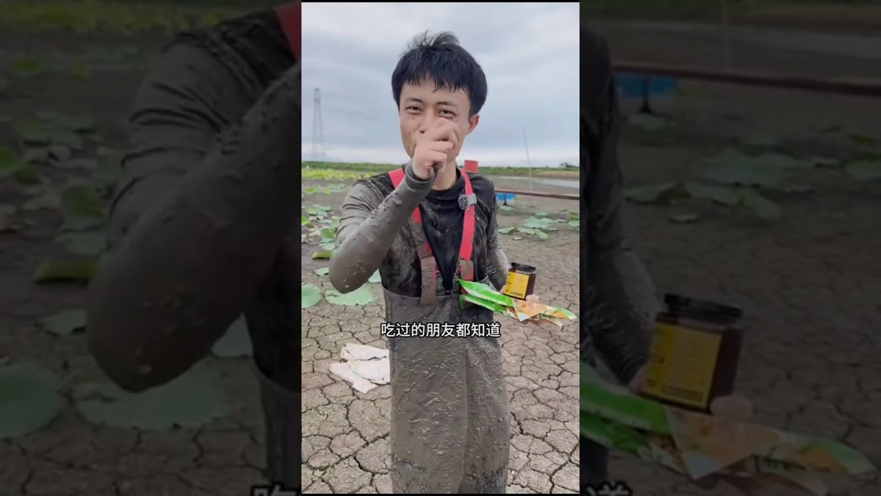 小小罗户外徒手抓鳝鱼，一百块钱包下的荷花塘，抓了两天黄鳝，没想到还有这么多... #三农 #农村生活#土鳝鱼#土鳝鱼片