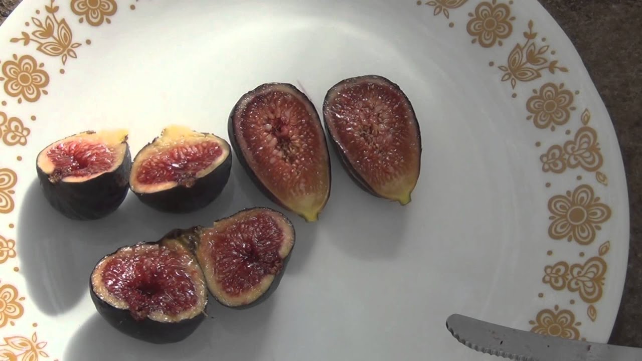Noire de Caromb figs