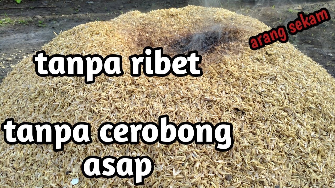 Cara membuat arang sekam yang sangat mudah || bisa di kerjakan oleh ibu-ibu di rumah