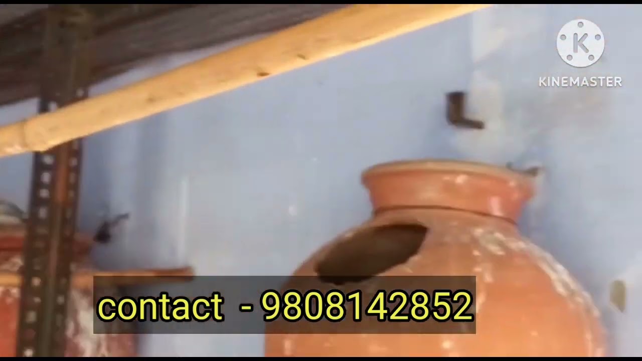 #AGRA #forsale LOVE BIRDS SALE IN AGRA