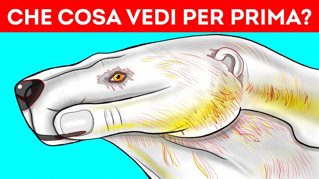 Se lo Vedi, Sei tra quell’1% di Coloro che Hanno una Vista Super Acuta