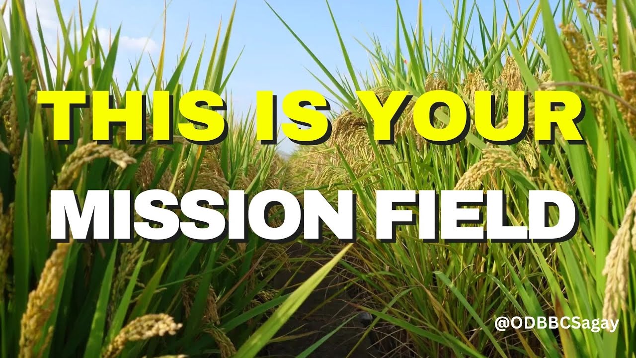 This is your Mission Field | Lyrics