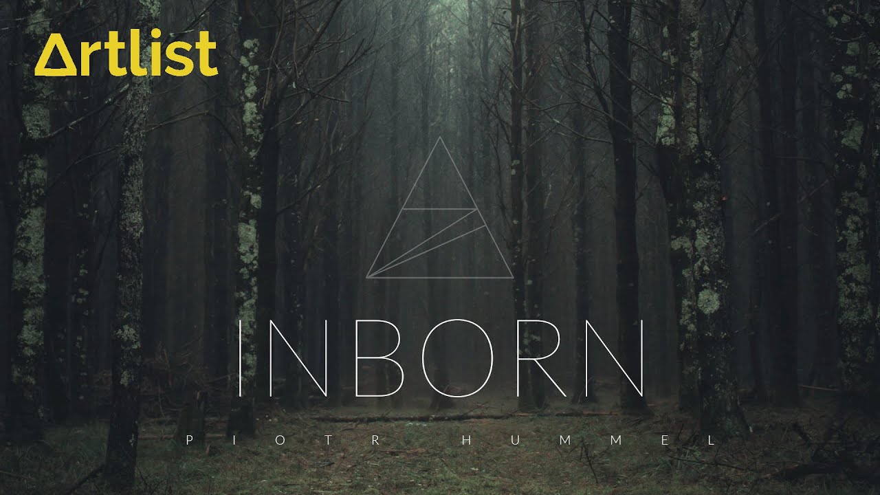 Piotr Hummel - I n b o r n - Background Music. #emotional #synclicensing
