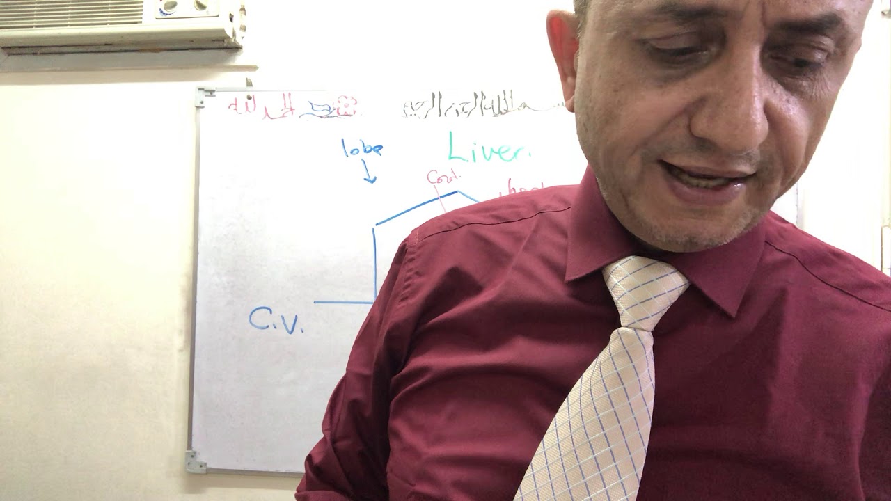 Liver  histology -part 2