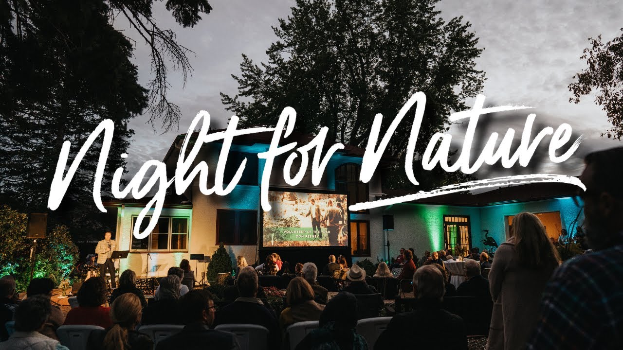 Night for Nature 2024 | Live Stream