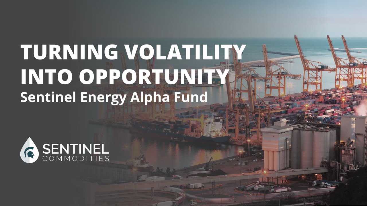 Turning Volatility into Opportunity