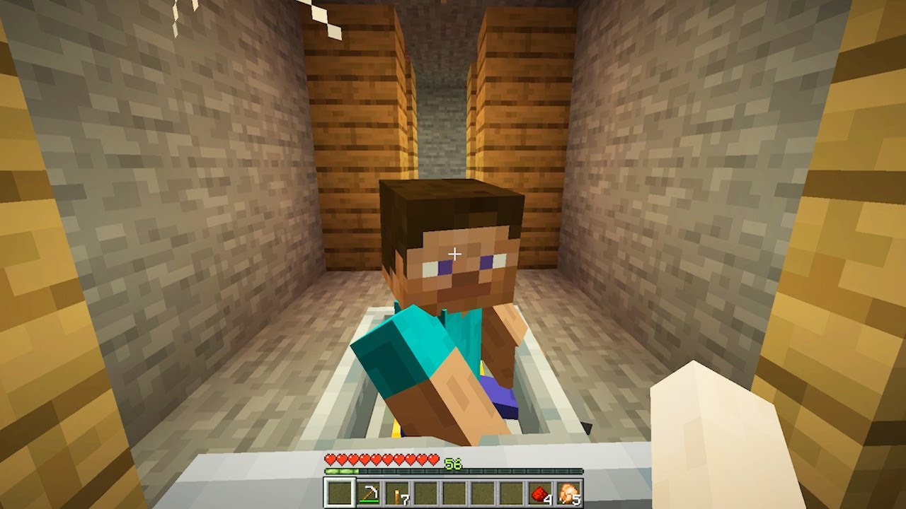 TROLL : ALEX VS STEVE IN MINECRAFT BY BORIS CRAFT PART 9