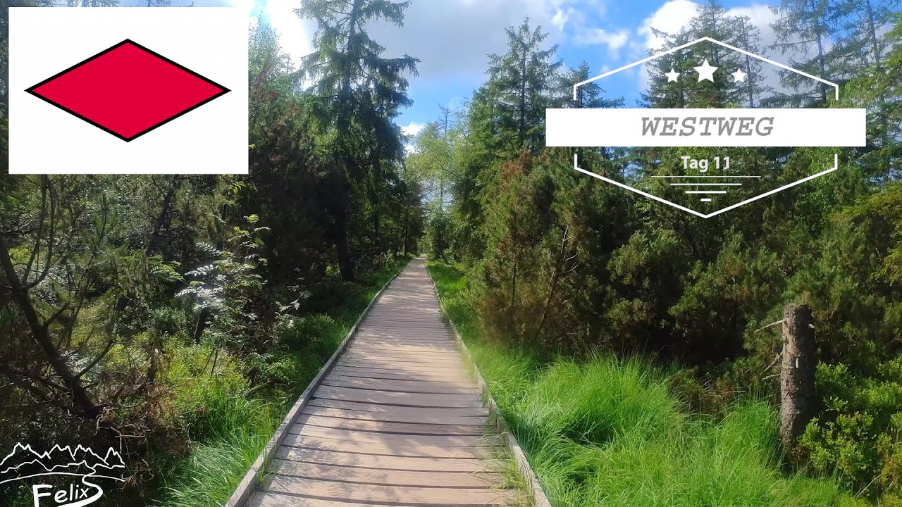 Westweg Tag 11: 25 km Latschighütte bis Dennach - Top Trail of Germany