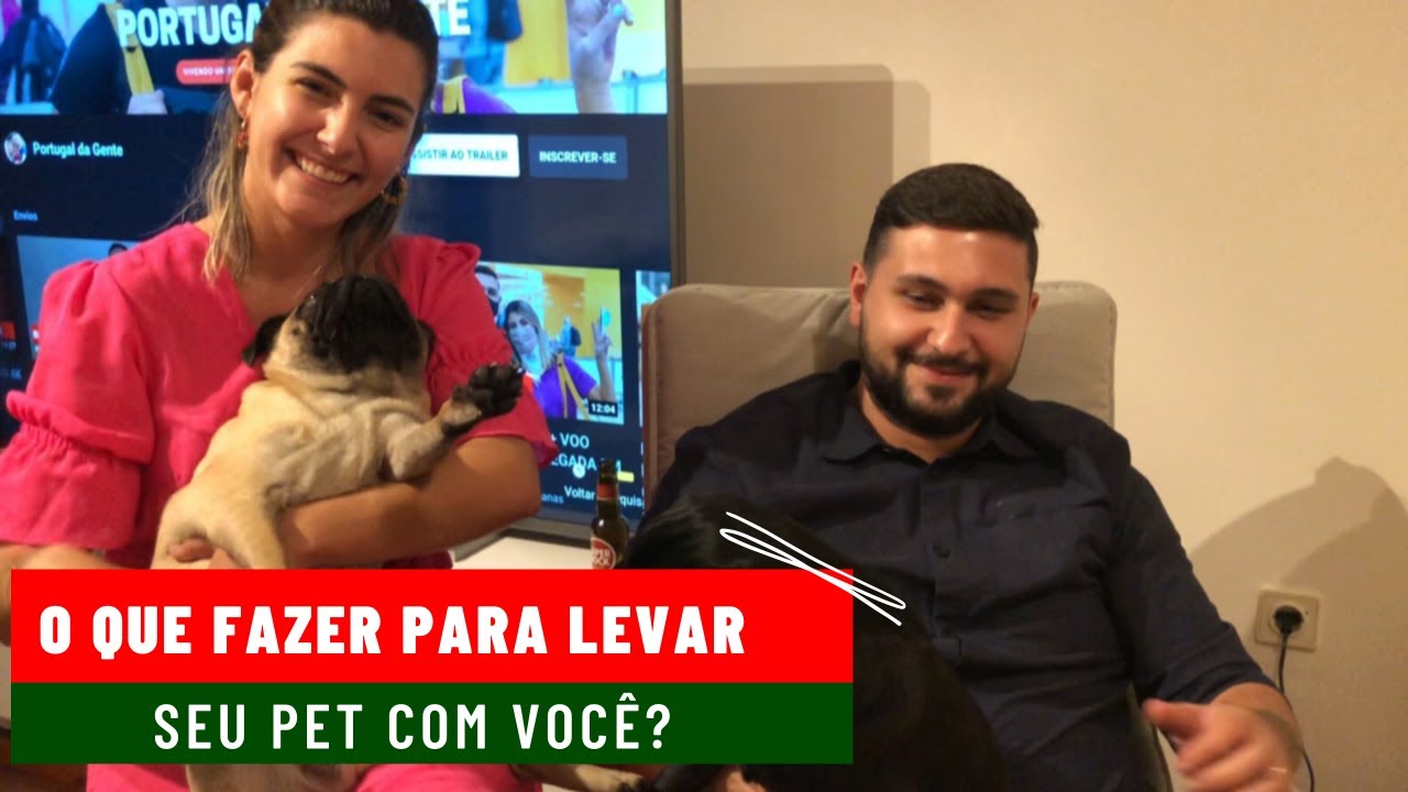 COMO VIAJAR COM CACHORRO DE AVIÃO | VIAJAR COM PUGS DE AVIÃO | PORTUGAL