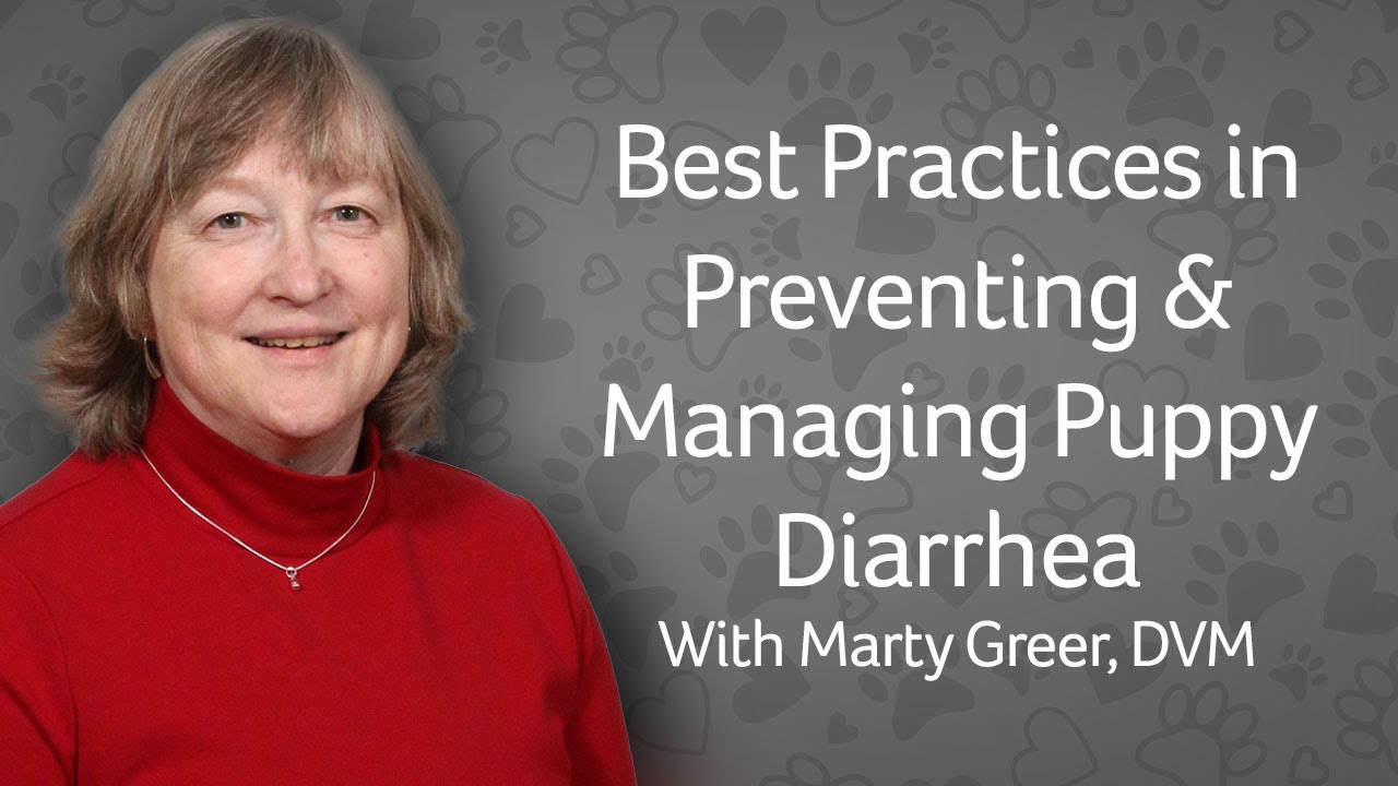 Webinar: Managing & Preventing Puppy Diarrhea