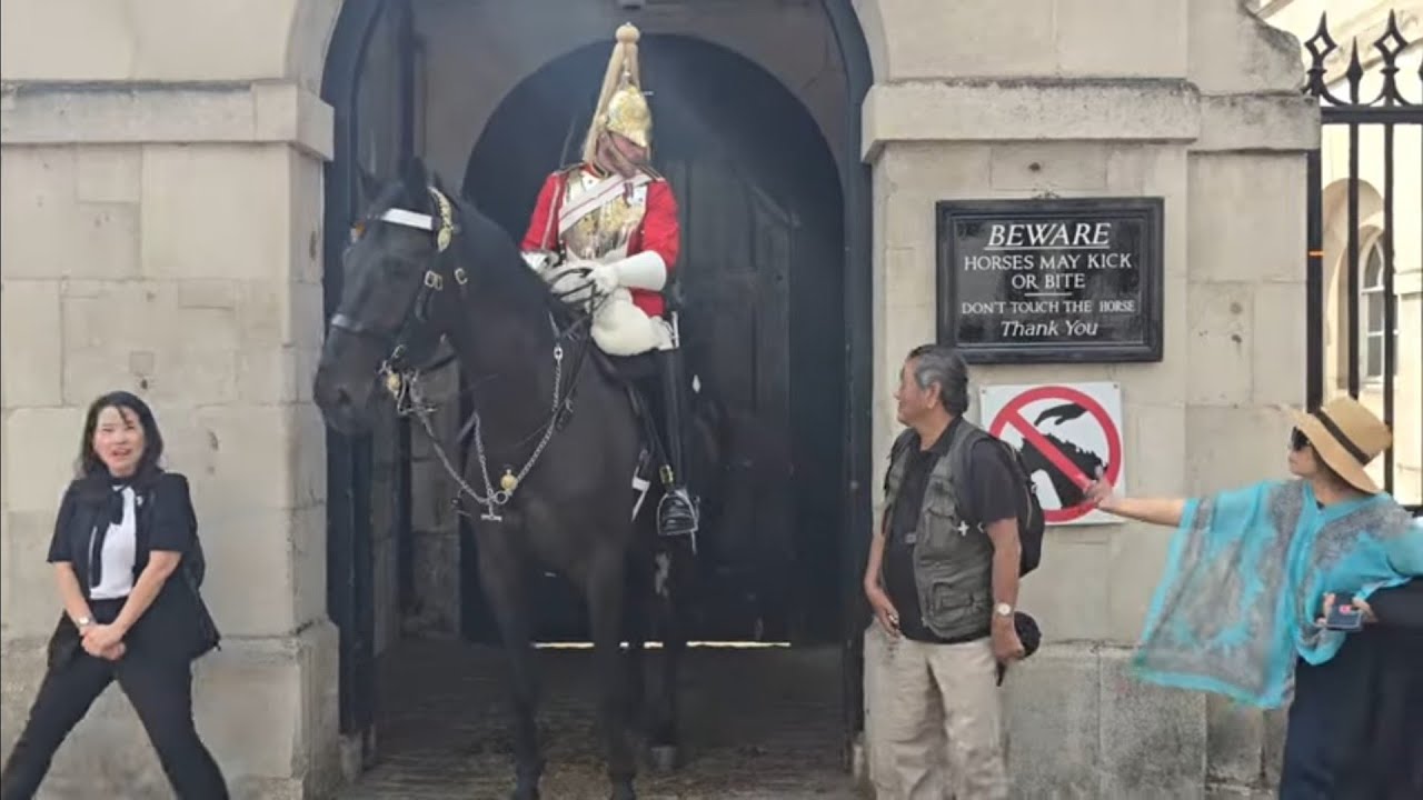 Over eager tourist's are told no then police point out the sign #royalhorseguard