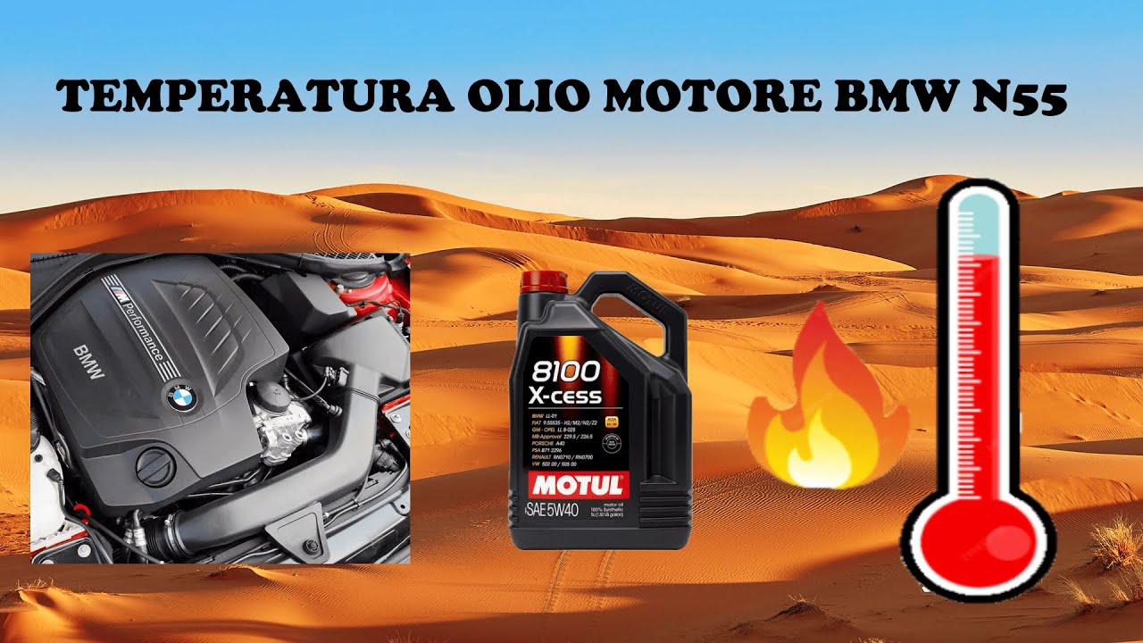 COME ABBASSARE Le Temperature OLIO su BMW M235/M135i