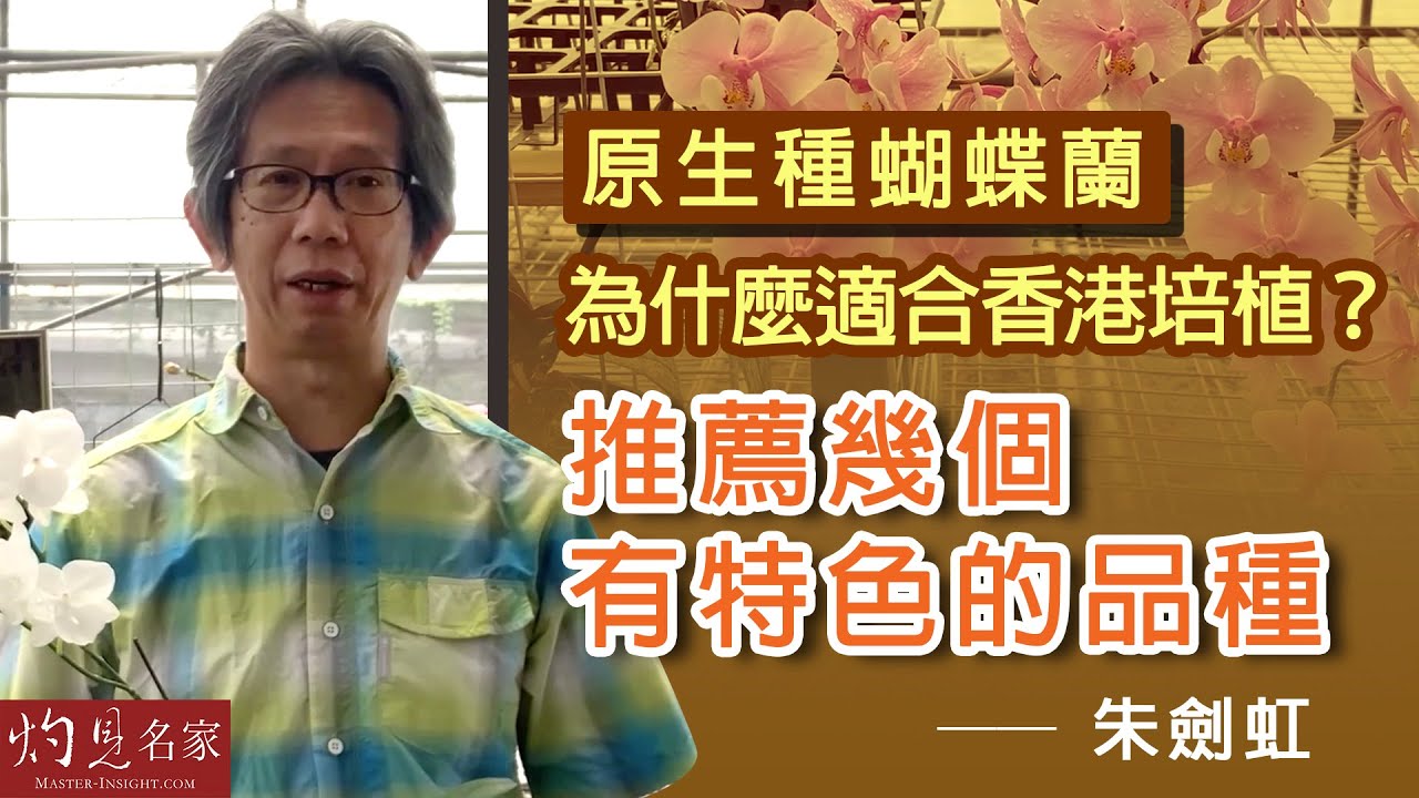 朱劍虹：原生種蝴蝶蘭為什麼適合香港培植？推薦幾個有特色的品種 《種好蘭花》（2022-07-10）