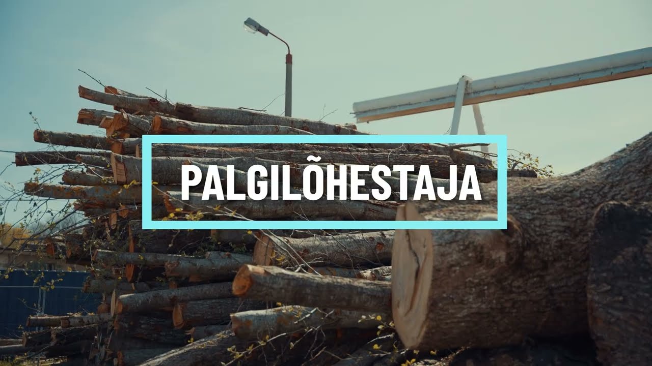 Dipperfox palgil&otilde;hestaja - lisaseade palkide t&ouml;&ouml;tlemiseks | Fortal