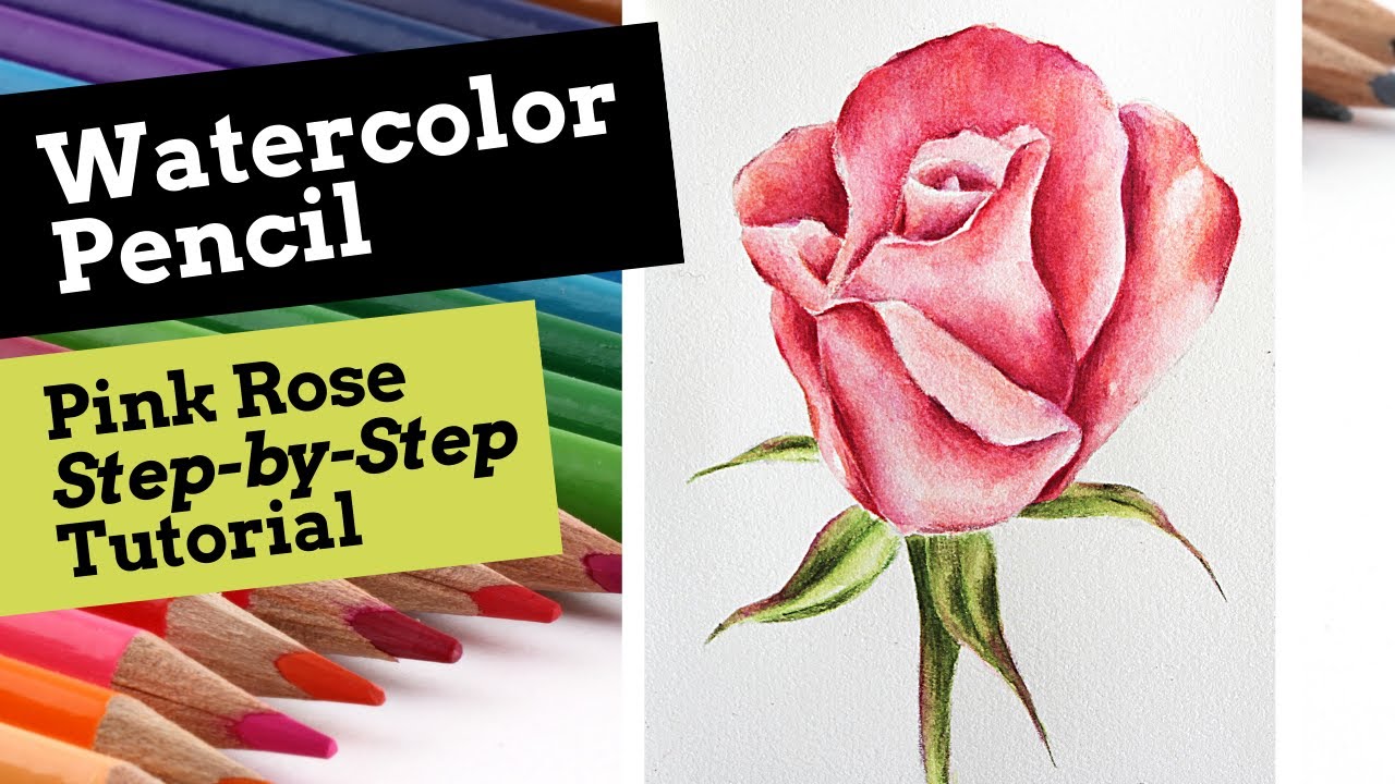How to Paint a Pink Rose Using Watercolor Pencils