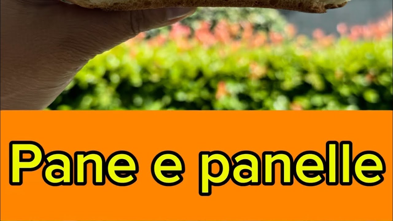 Pane e panelle