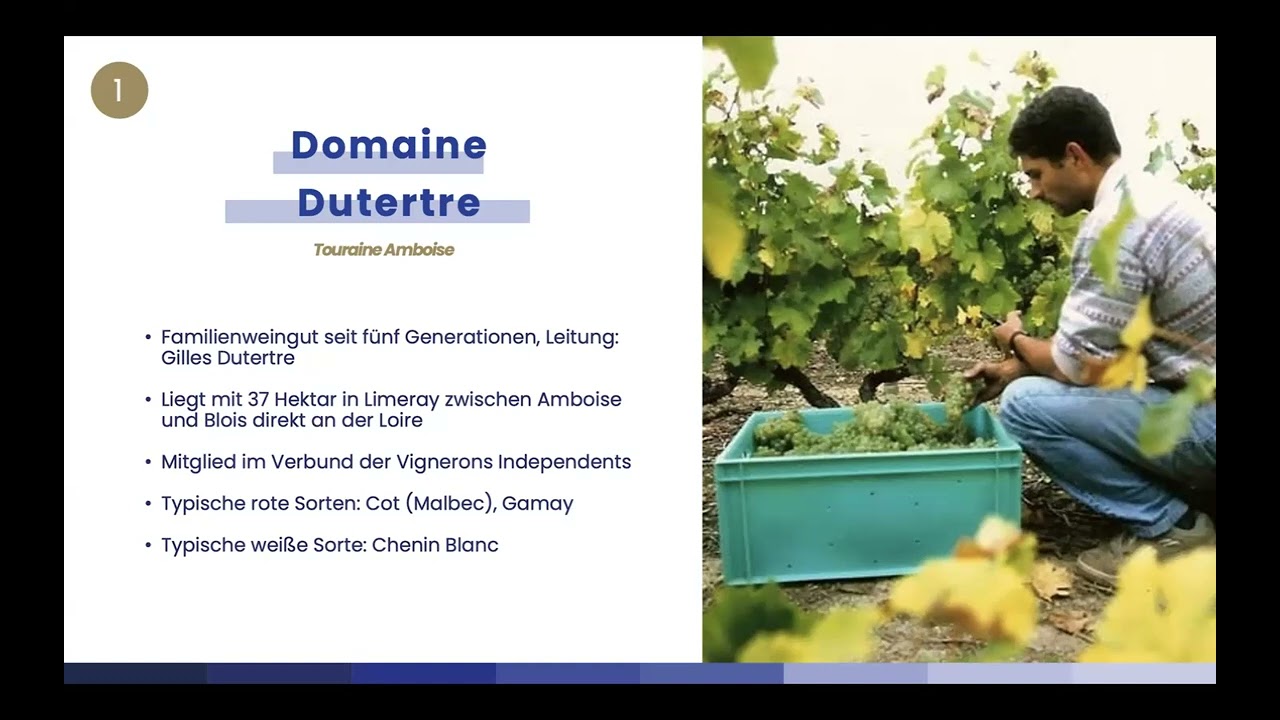 2025 webinair series - Chenin Blanc: A style- defining grape variety of the Loire