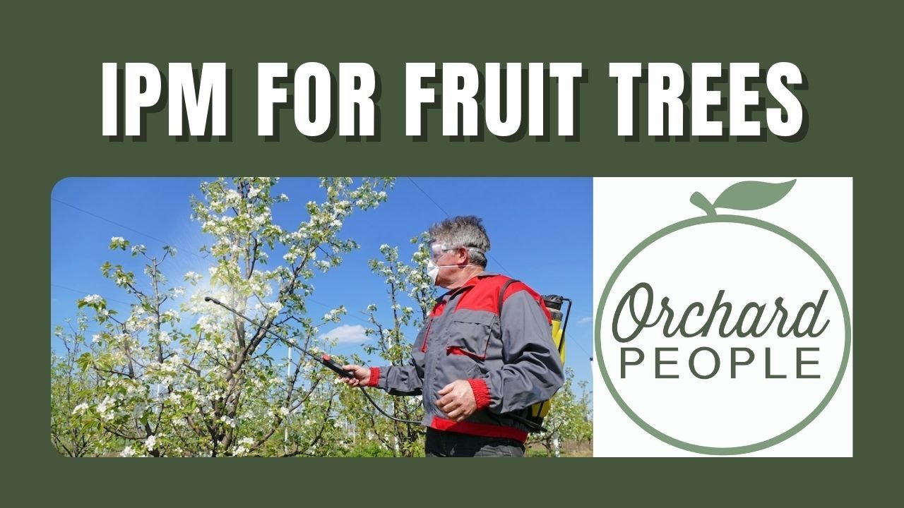 Protect Organic Fruit Trees with Integrated Pest Management